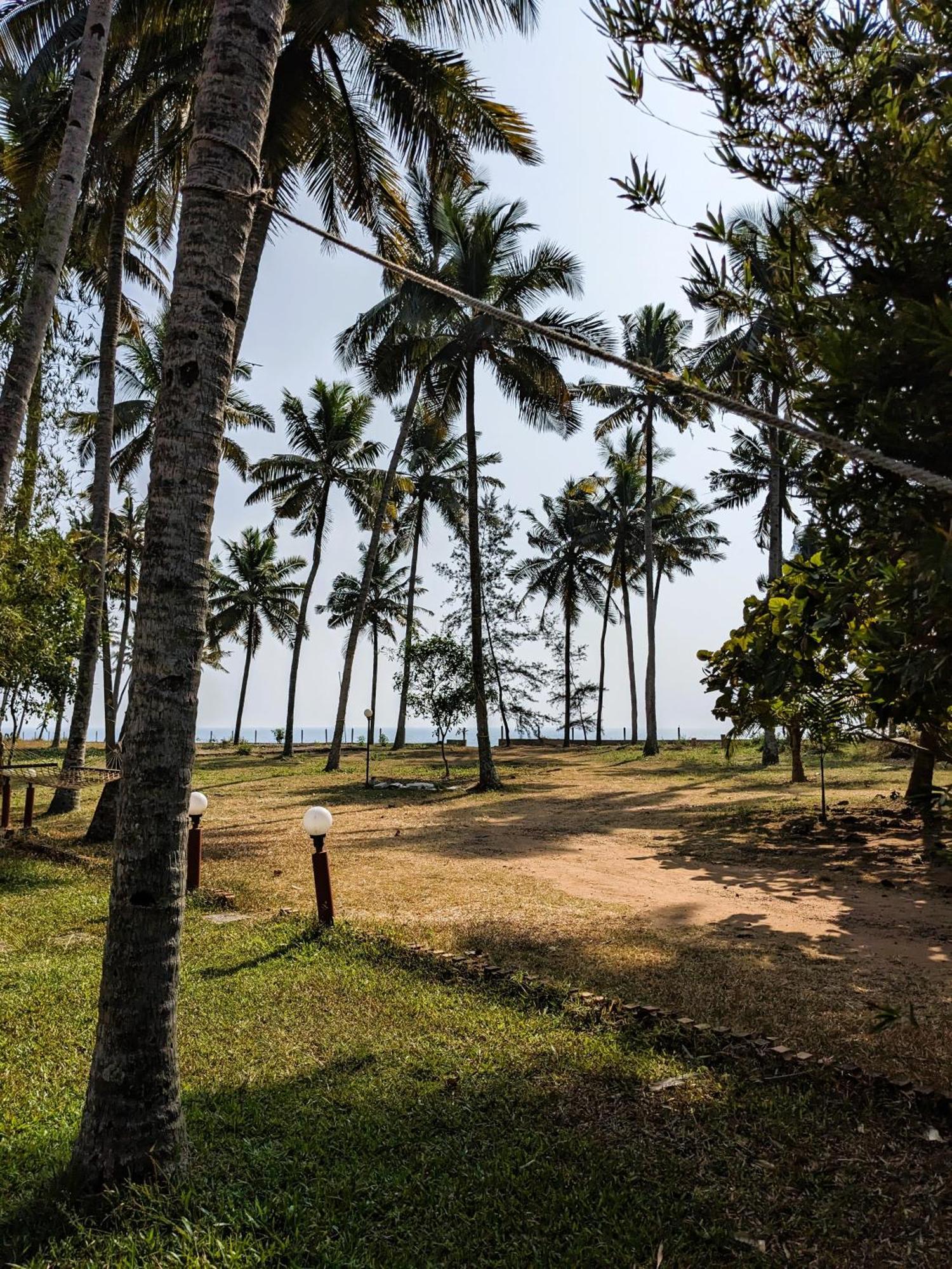 Baycliff Cottages Varkala Εξωτερικό φωτογραφία