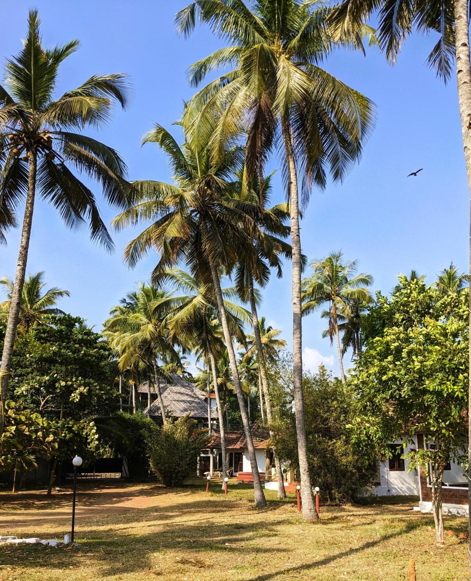 Baycliff Cottages Varkala Εξωτερικό φωτογραφία